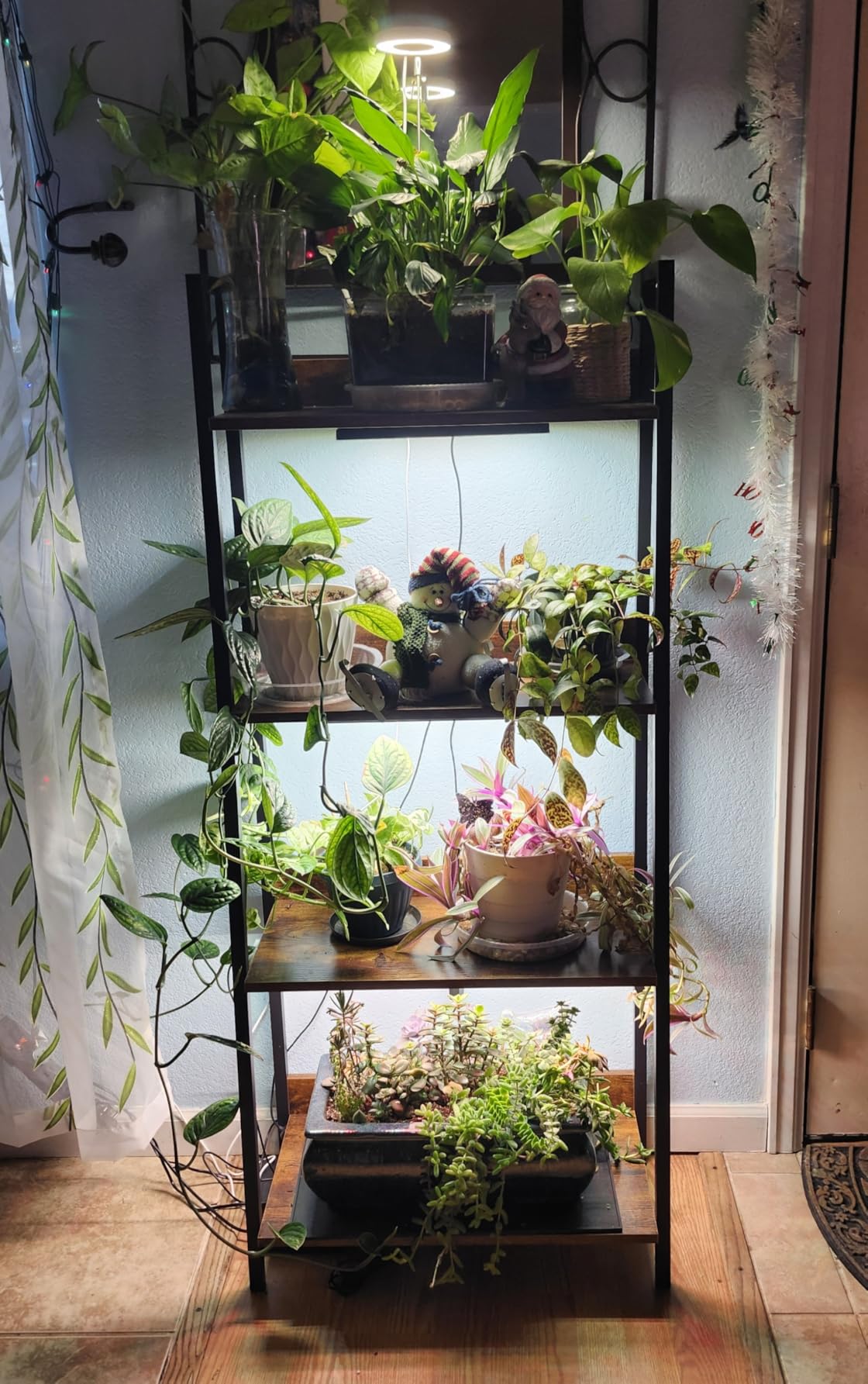 LBW Desk Grow Light, 214 LEDs Full Spectrum Plant Light for Indoor Plants customer photo 2