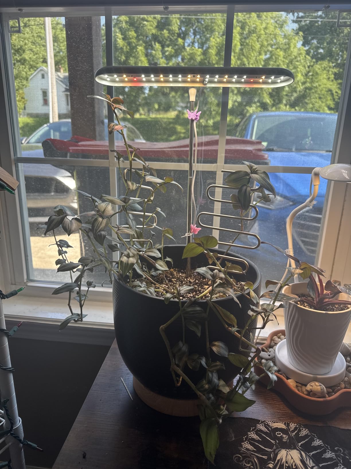FOXGARDEN Grow Light Stand, Advanced LED Plant Growth Lighting with 4/8/12H Timer, 6 Dimming Options, and Adjustable Height - Optimal for Indoor Plants in Seedlings, Vegetative, and Flowering Phases customer photo 1