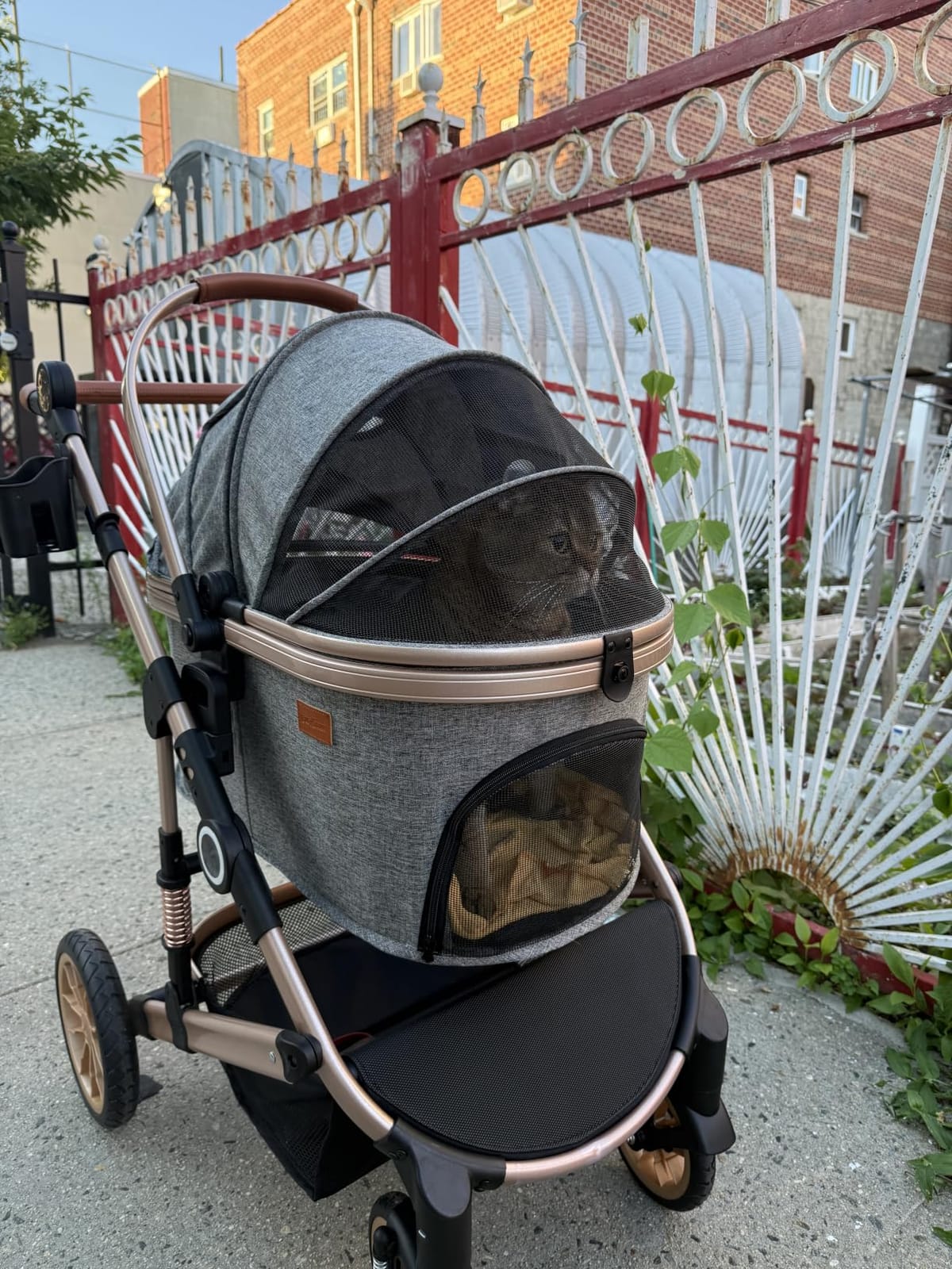 Bicystar Dog Stroller with Detachable Carrier, Rubber Wheels, 50 lbs, Grey customer photo 2