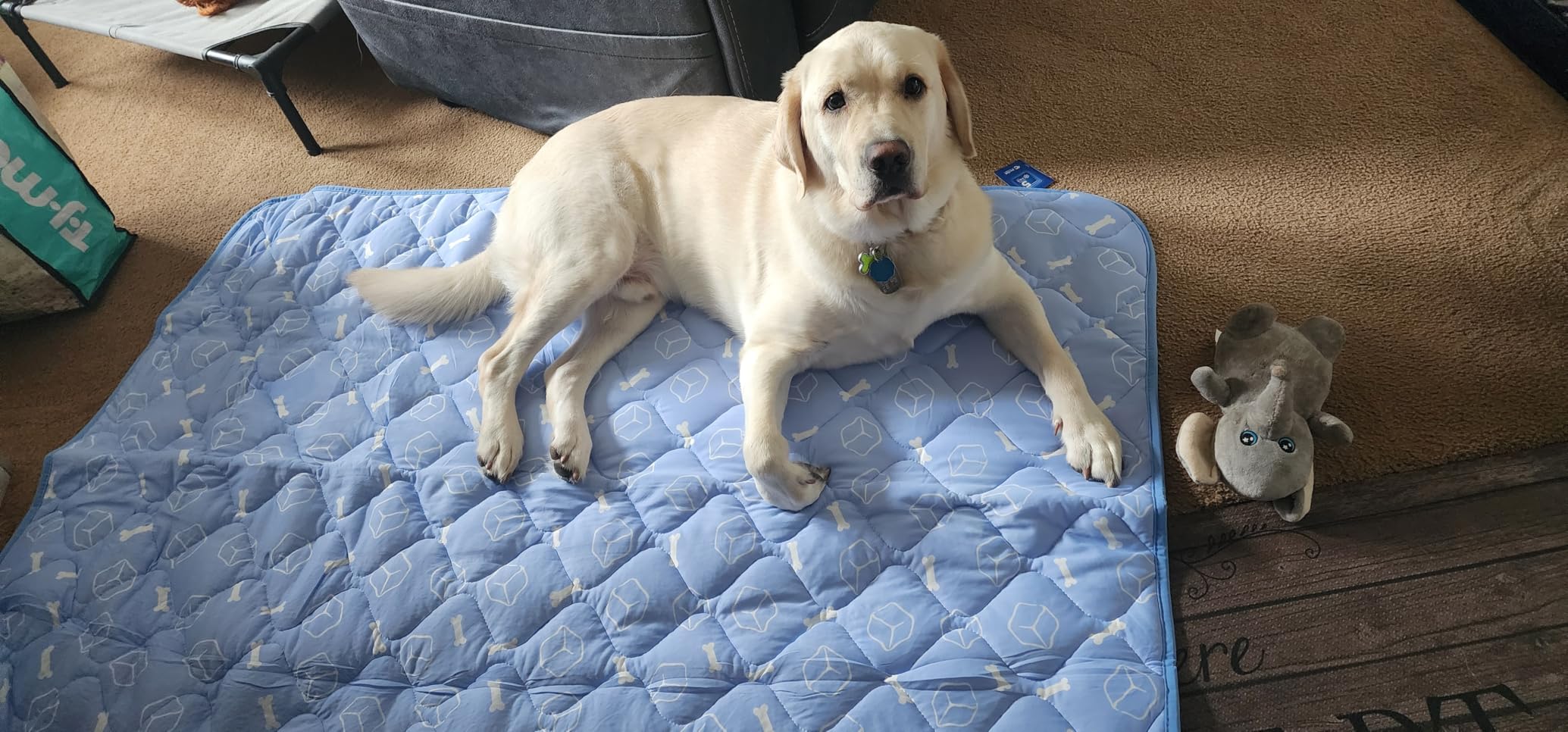 Rywell Dog Cooling Mat 2.0, Ocean Blue,44