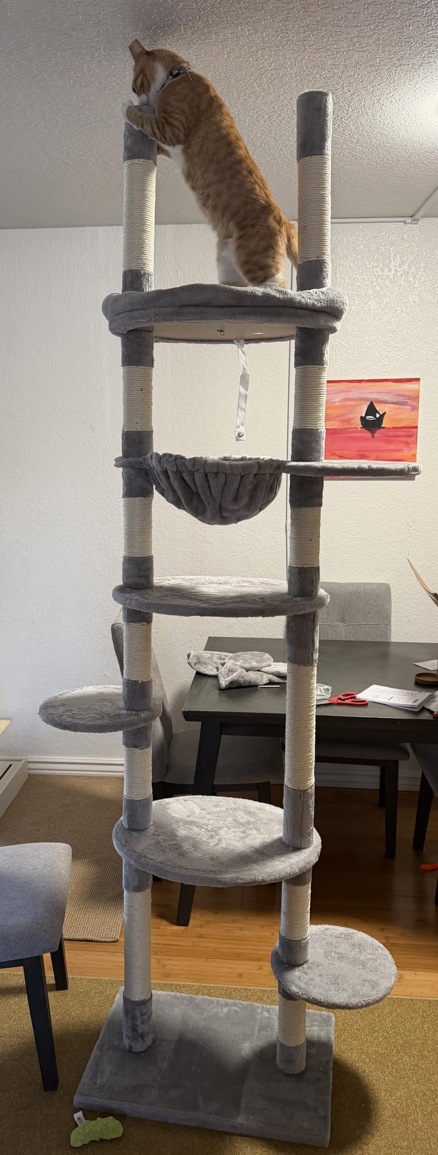 Cat Tree, Floor to Ceiling Cat Tower Adjustable Height[92-102 Inches=234-258cm], 7 Tiers Cat Climbing Tree with Hammock, Platforms and Fully Sisal Scratching Posts for Indoor Cats, Beige customer photo 1