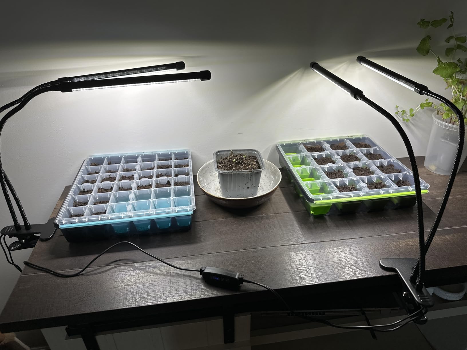 Black Grow Lights for Indoor Plants, 168 LEDs Clip Plant Lights, Full Spectrum LED Plant Growing Lamps with Flexible Gooseneck 4/8/12/18H Timer, 3 Spectral Modes, 10 Dimmable Levels, 2Head x 2 Pack customer photo 1