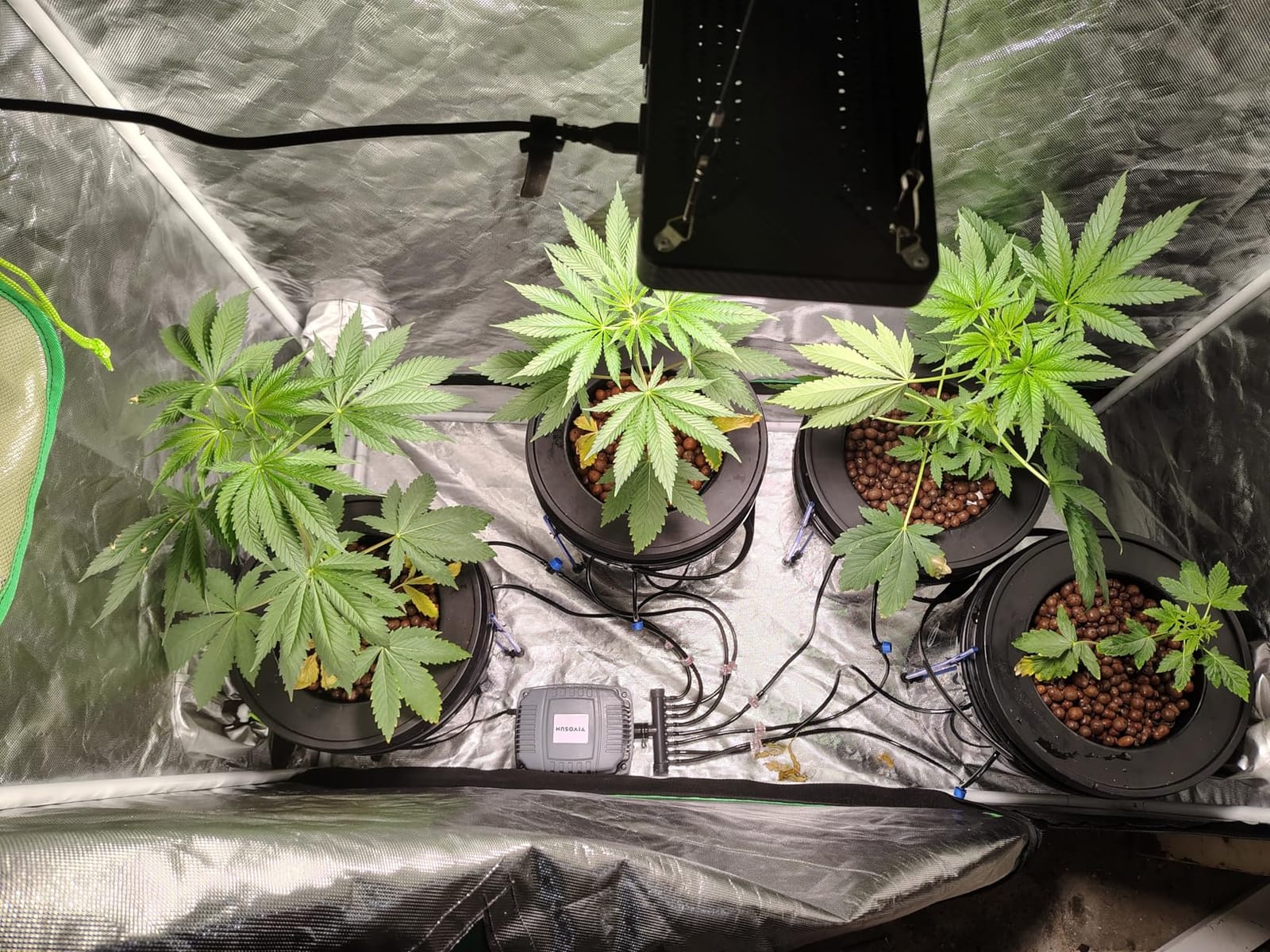 VIVOSUN DWC Hydroponics Grow System with Top Drip Kit 2 Buckets customer photo 2