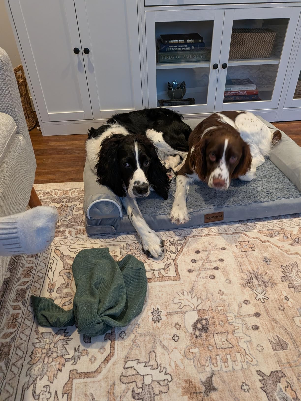 NANUYA Orthopedic Dog Bed for Large Dogs, 36 x 27 Inch, Light Grey customer photo 2