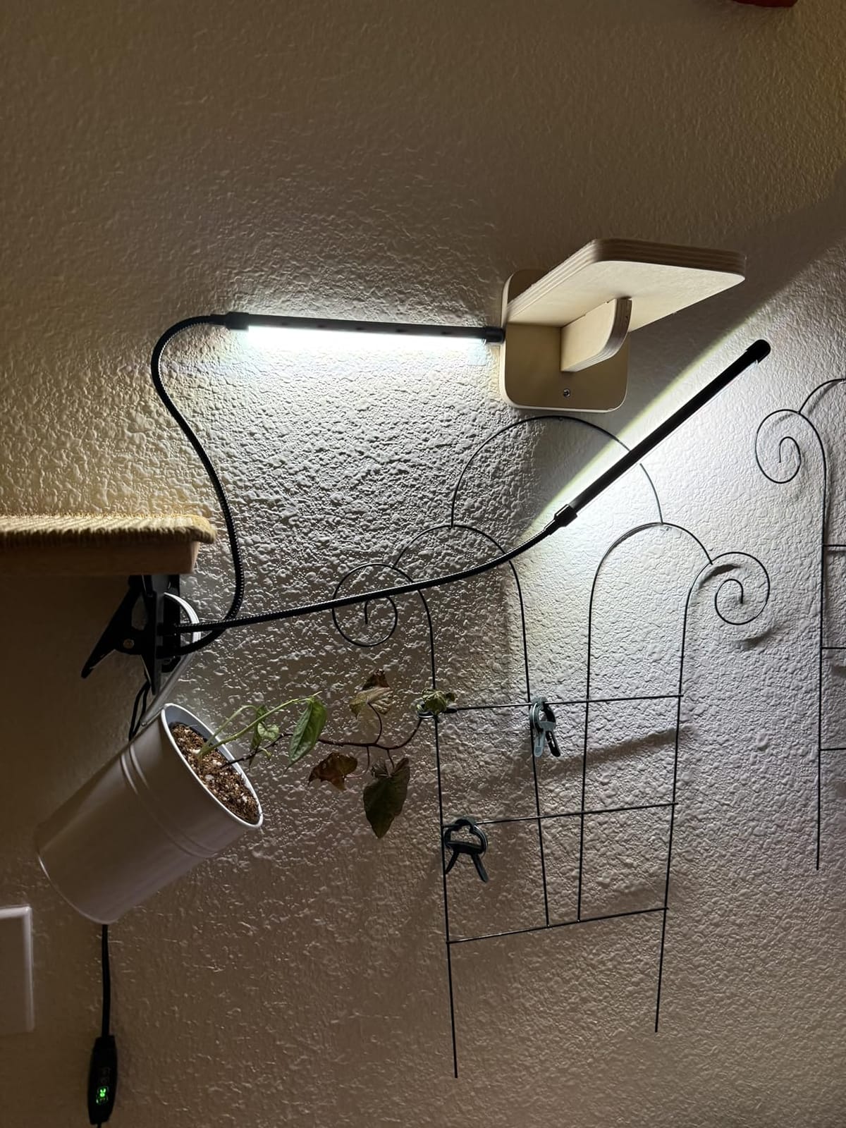 Grow Lights for Indoor Plants, Upgrade 84 LEDs Clip Plant Lights, Full Spectrum LED Plant Growing Lamps with Flexible Gooseneck, 3/9/12H Timer, 3 Spectral Modes, 10 Dimmable Levels (2 Head 1 Pack) customer photo 2