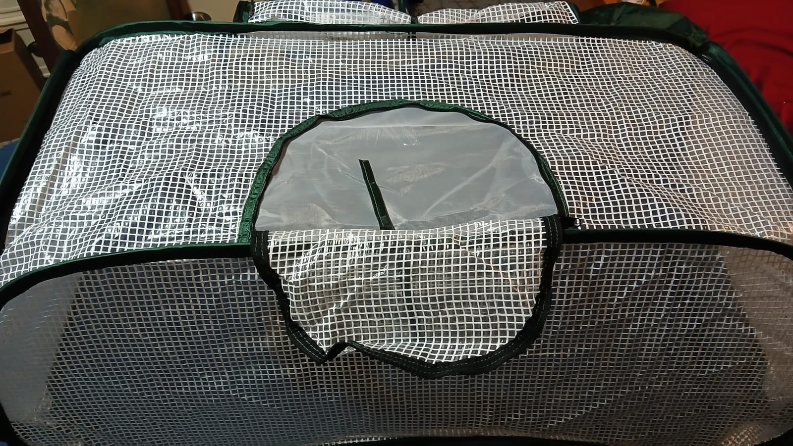 Garden Rows Accelerator Plants Cover-Garden Greenhouse with Roll-up Zipper Door,Thicker PE Cover for Indoor Outdoor Vegetable Fruits Rows - 45