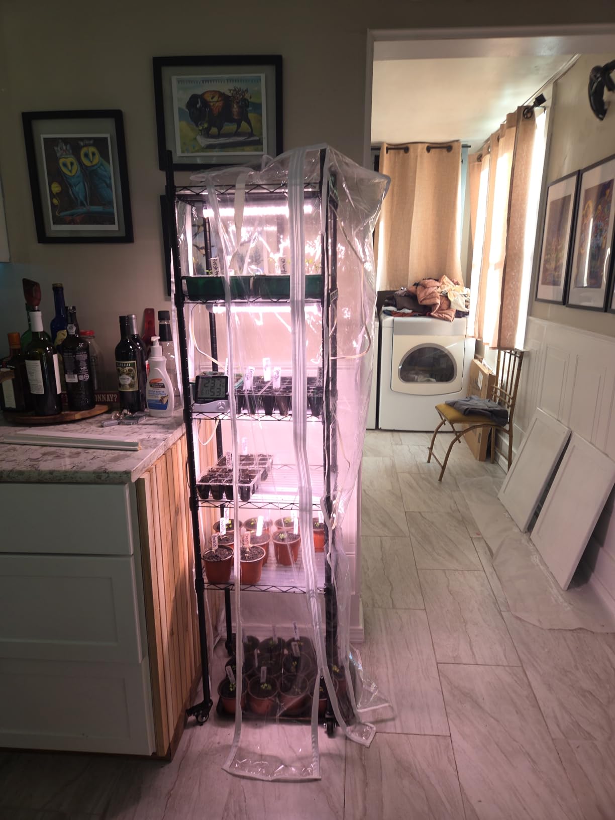 Indoor Greenhouse with Grow Lights 40W , 15.7