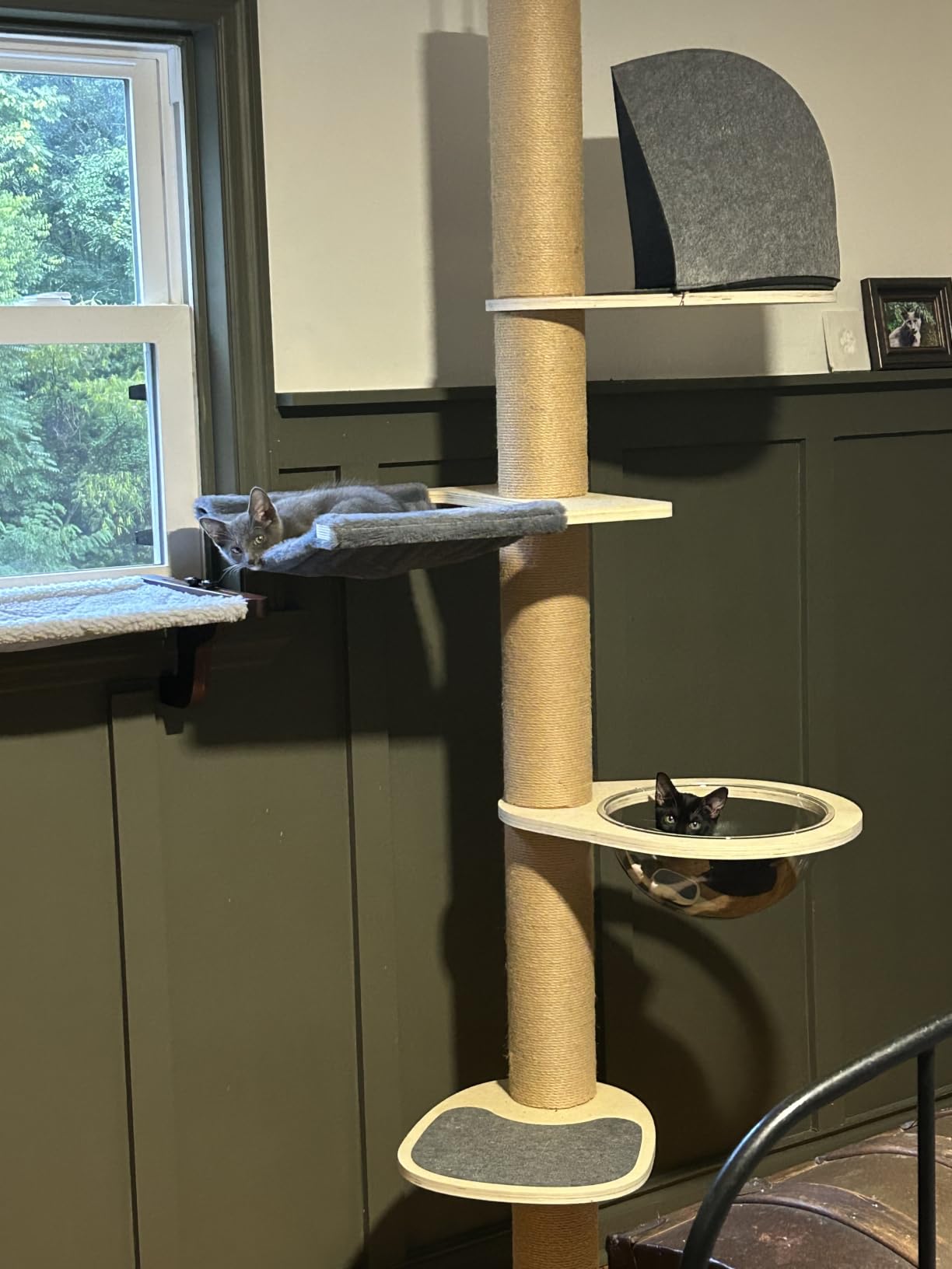 FUKUMARU Floor to Ceiling Cat Tree, 6-10 ft, 6 Level, Grey customer photo 1