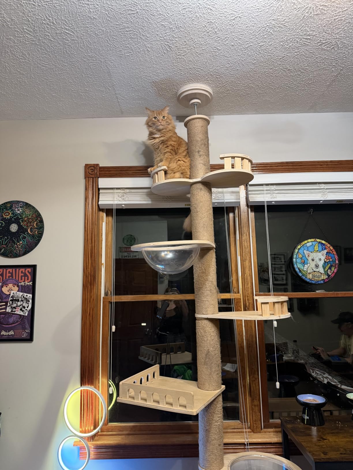 Veehoo Floor to Ceiling Cat Tree,102-122