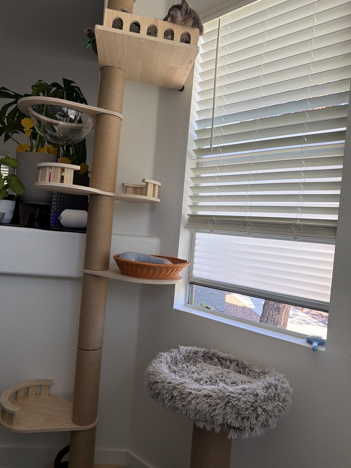 Veehoo Floor to Ceiling Cat Tree,102-122