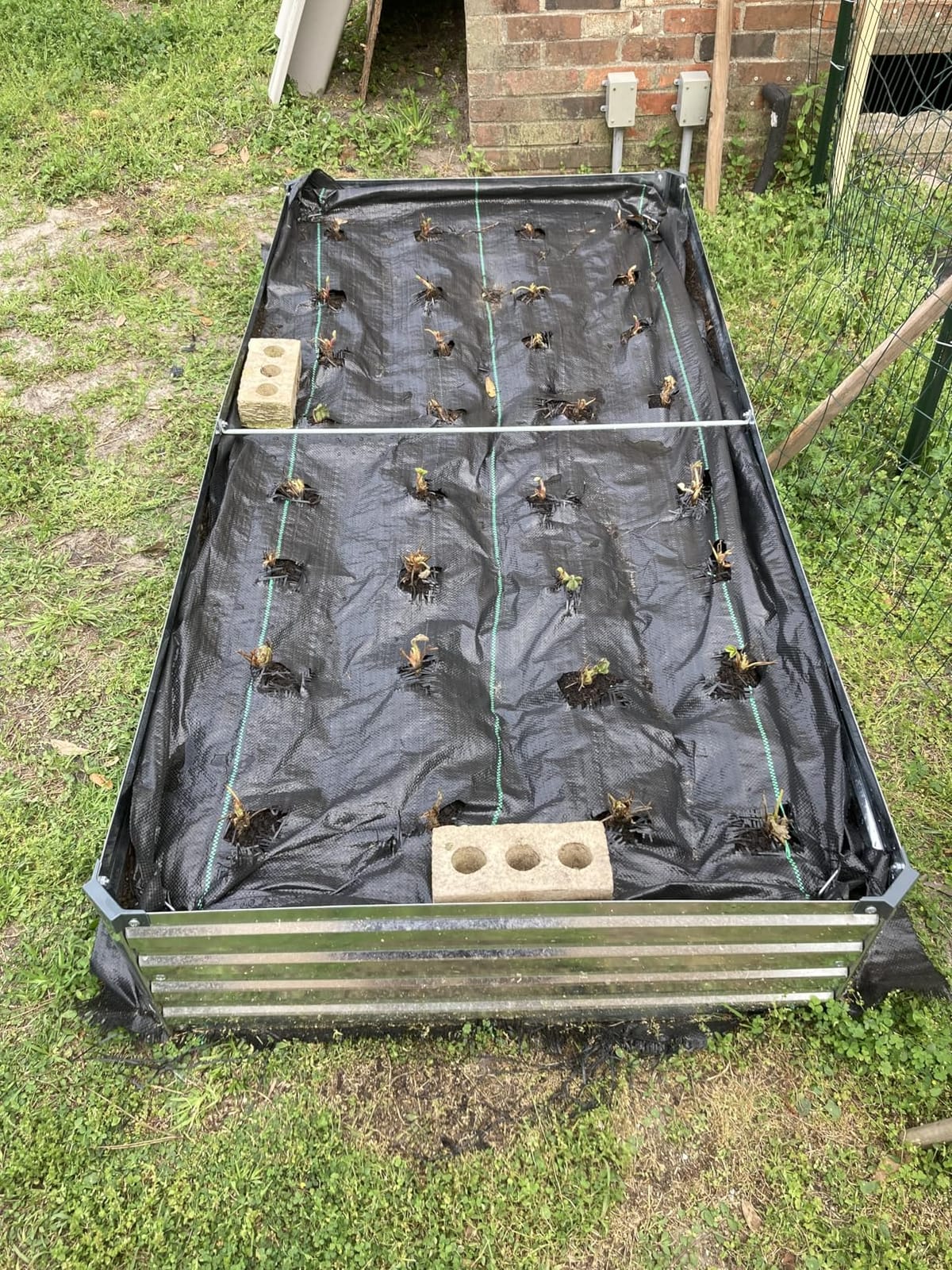 Meberam 2 Pack 6x3x1FT Galvanized Raised Garden Beds Kit Outdoor Metal Gardening Planter Box for Vegetable Elevated Flower Herbs,Silver customer photo 1