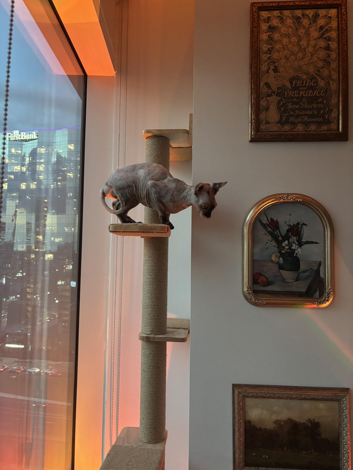 FUKUMARU Wall-Mounted Cat Tree for Small & Medium Cats customer photo 1