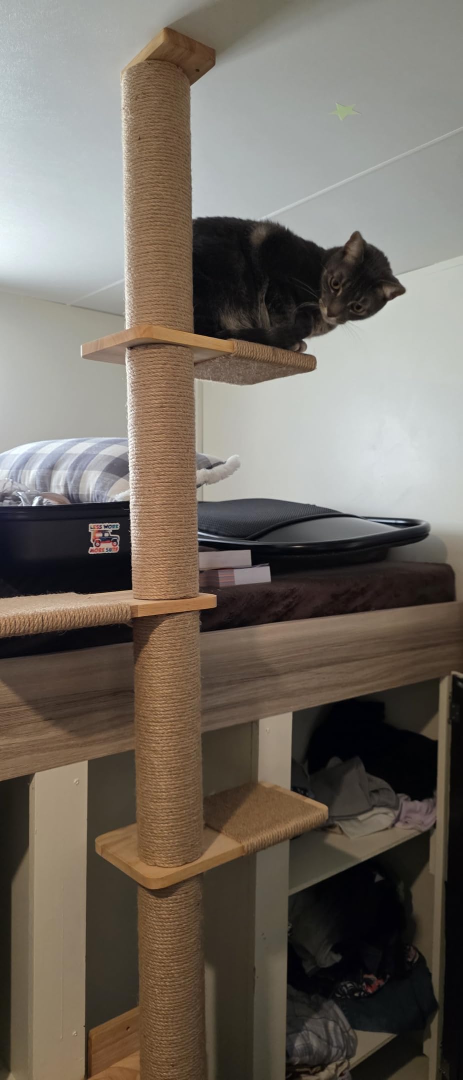 FUKUMARU Wall-Mounted Cat Tree for Small & Medium Cats customer photo 2