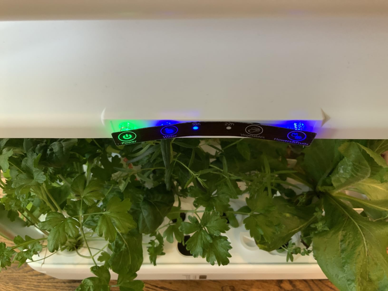 Ahopegarden Hydroponics Growing System Indoor Garden, 44 Pods Plant Herb Garden Germination Kit with LED Grow Light, 20L Double-Layer Large Capacity Hydrophonic Planter Grower for Vegetable Fruit customer photo 1