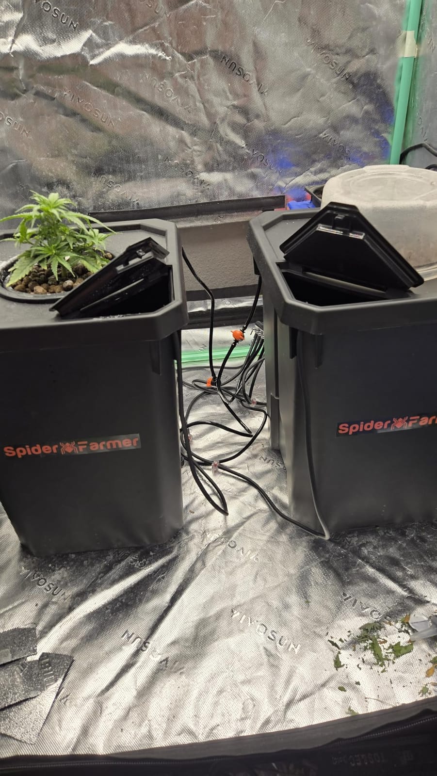 Spider Farmer DWC Hydroponics Growing System Kit 2 Buckets for Indoor Plant customer photo 2