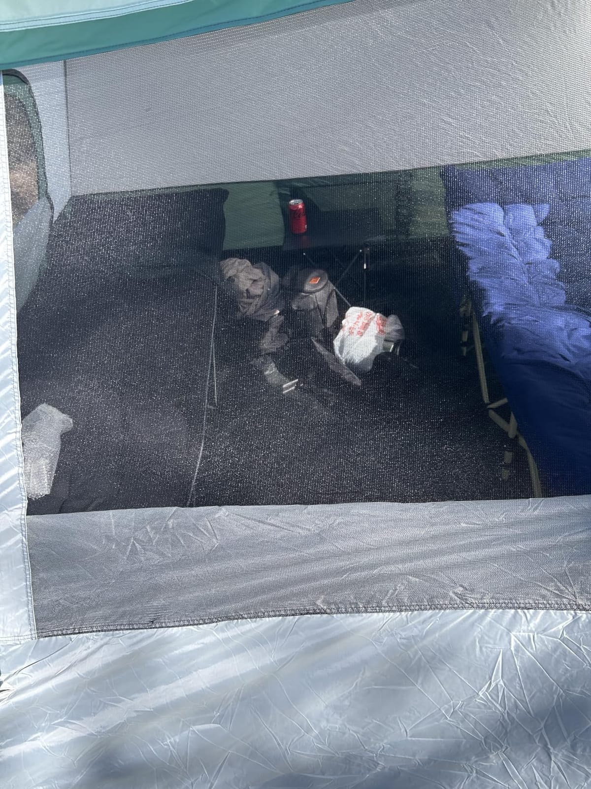 Amazon Basics Instant Camping Tent with Rainfly, Weather-Resistant, Quick Setup customer photo 2