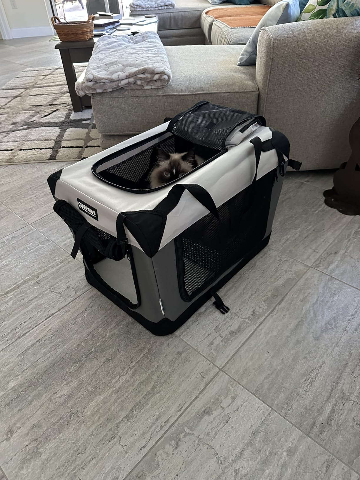 JESPET 3 Door Soft Dog Crates Kennel, Collapsible Travel Pet Carrier customer photo 1