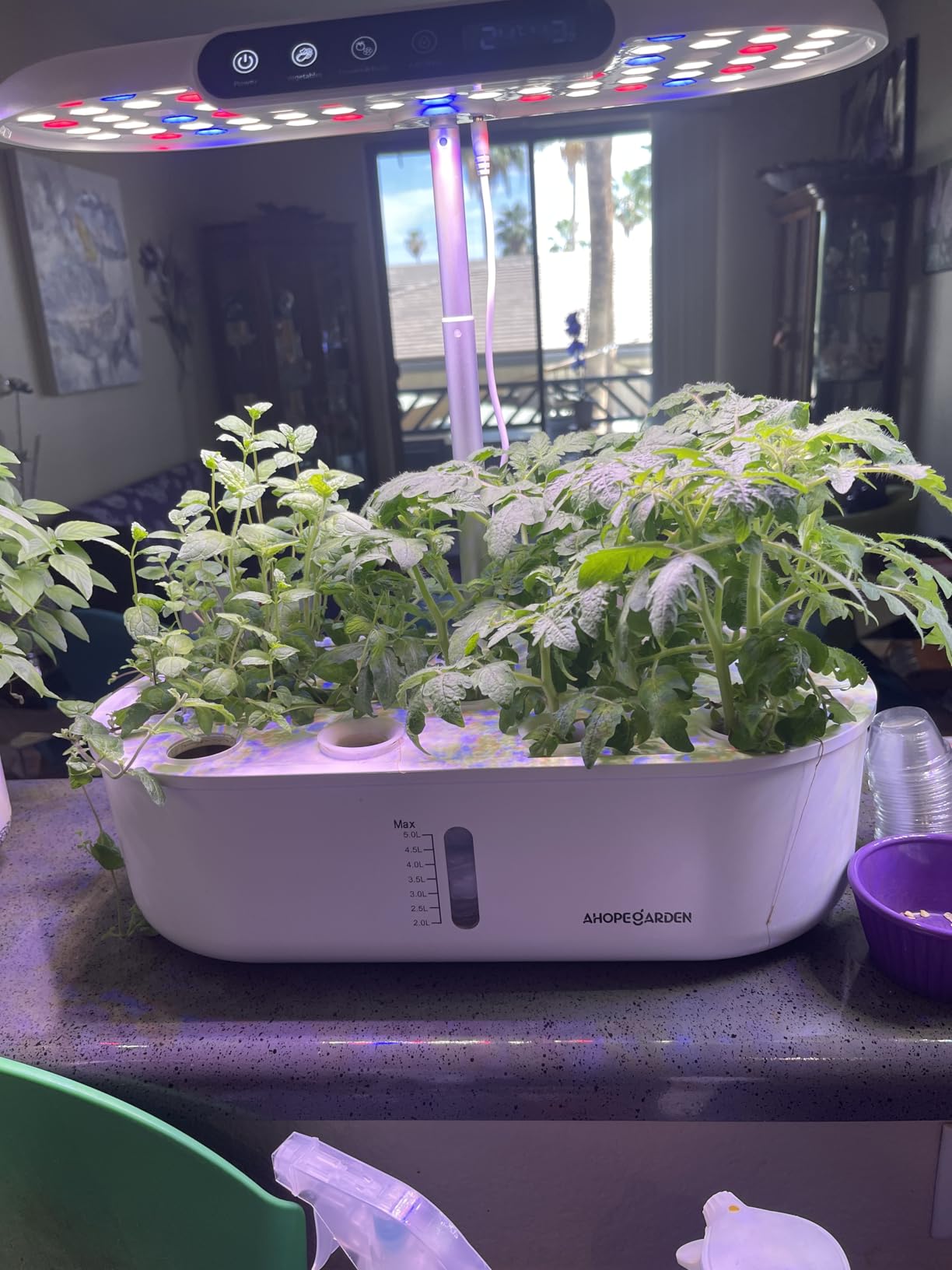 Indoor Garden Growing Systems Self-Watering Plant Pot Smart Gardening System with 17 Watts LED Grow Light Auto Timer Gardening Plant Gifts for Mom Plant Pot for vegetables herbs(No Seeds&Soil) customer photo 2