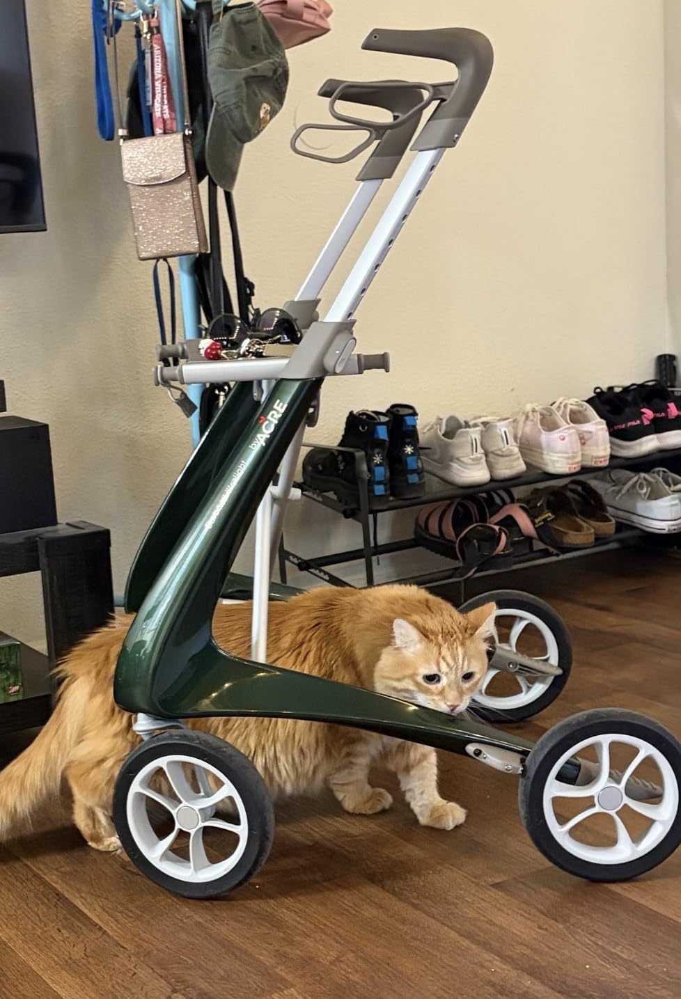 byACRE Carbon Ultralight Rollator Walker - World's Lightest Carbon Rollator - Only 10.6 lbs | Indoor and Outdoor Use | Foldable with seat and Easy to Travel with (Champagne Gold, Wide Track) customer photo 2