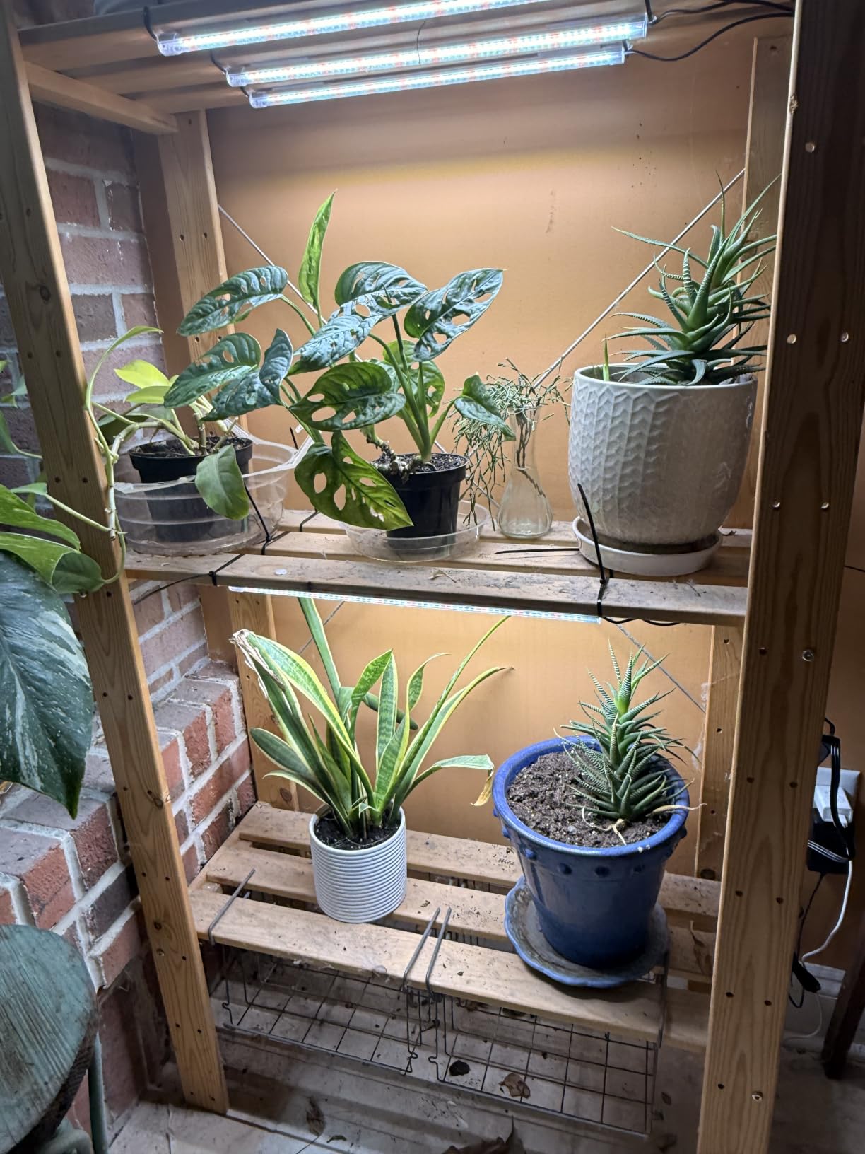 SDOVUERC 16'' 6 Bars Grow Light Strips for Indoor Shelves Plants Growing. customer photo 1