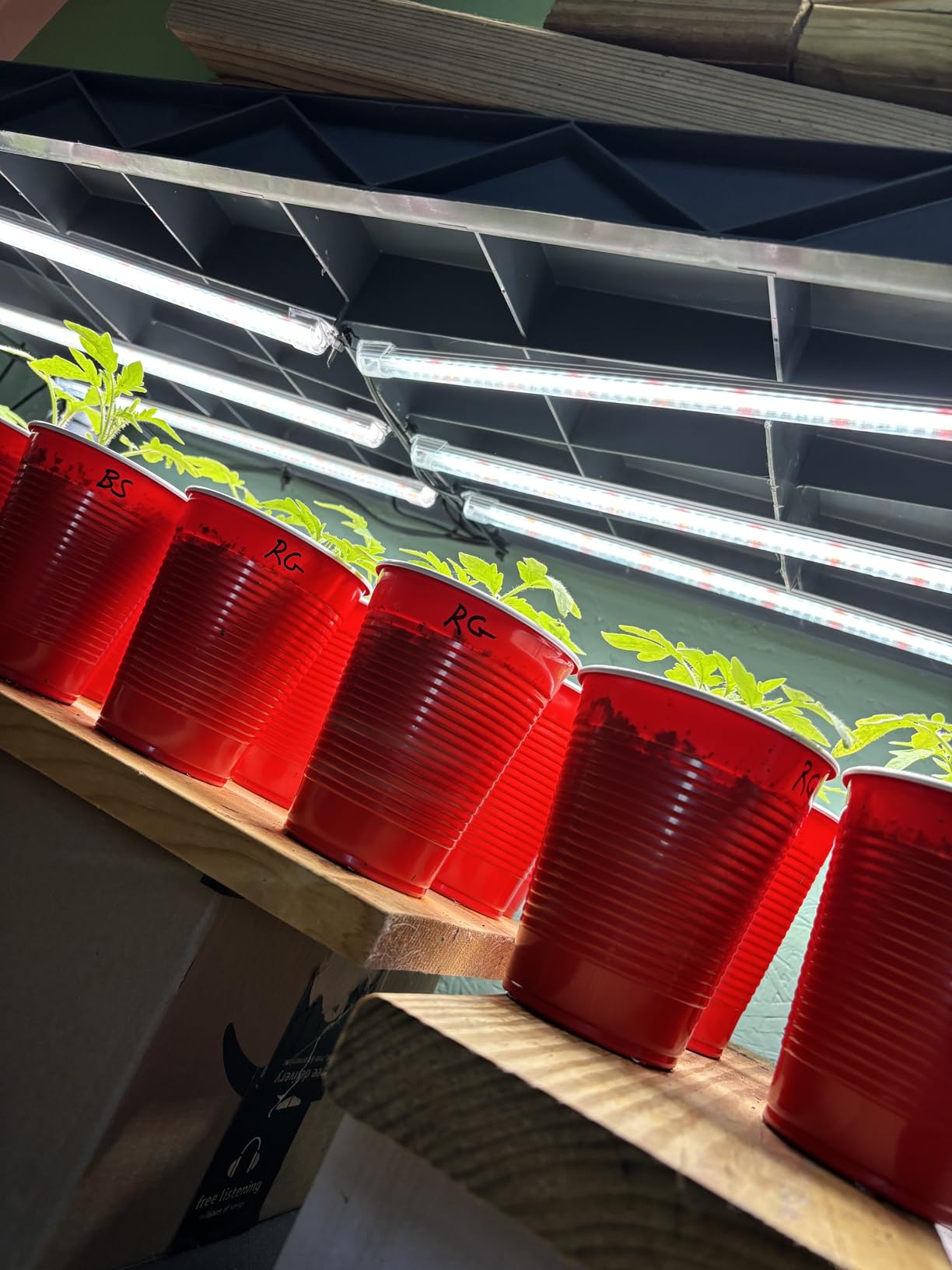 SDOVUERC 16'' 6 Bars Grow Light Strips for Indoor Shelves Plants Growing. customer photo 2