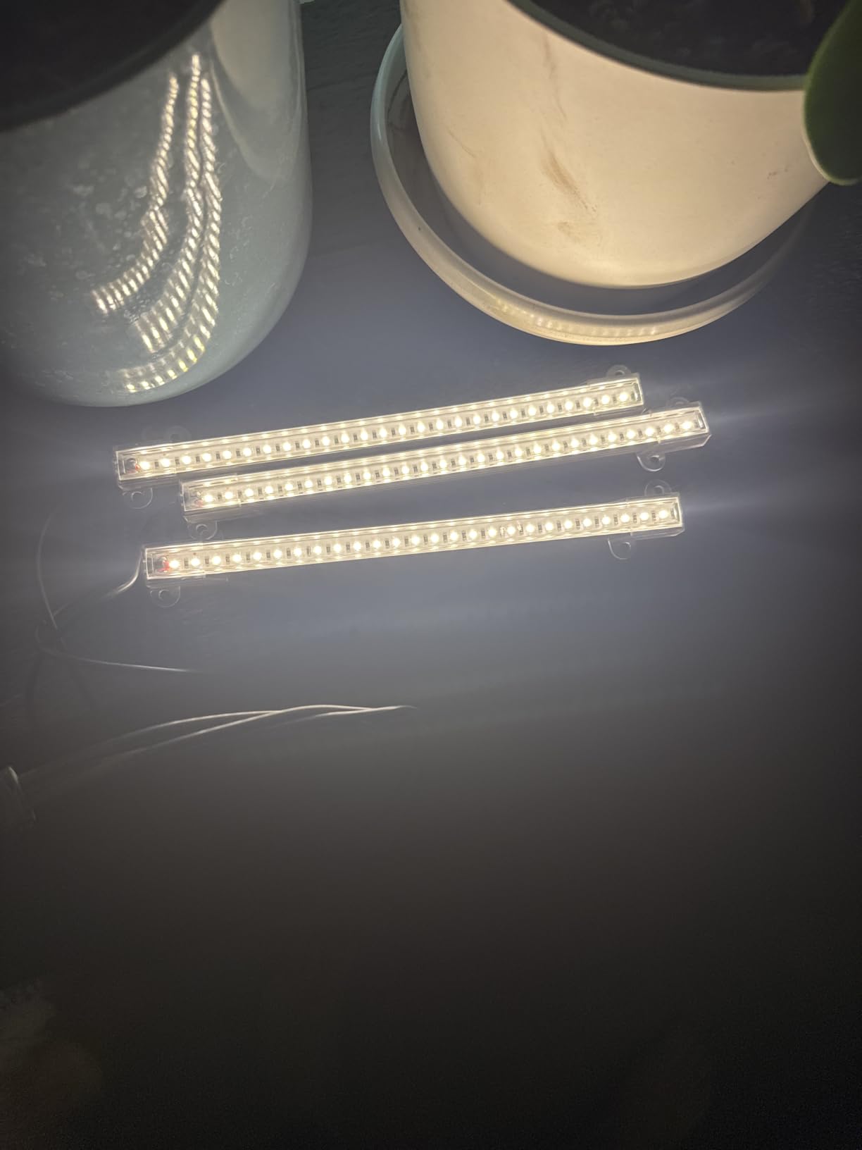 8.6'' Mini LED Grow Light Strips, Full Spectrum 3000K, 52 LED Plant Light with 3/9/12H Timer, 10 Dimmable Levels for Seedling, Succulent and Plant Shelf, 2 Head customer photo 1