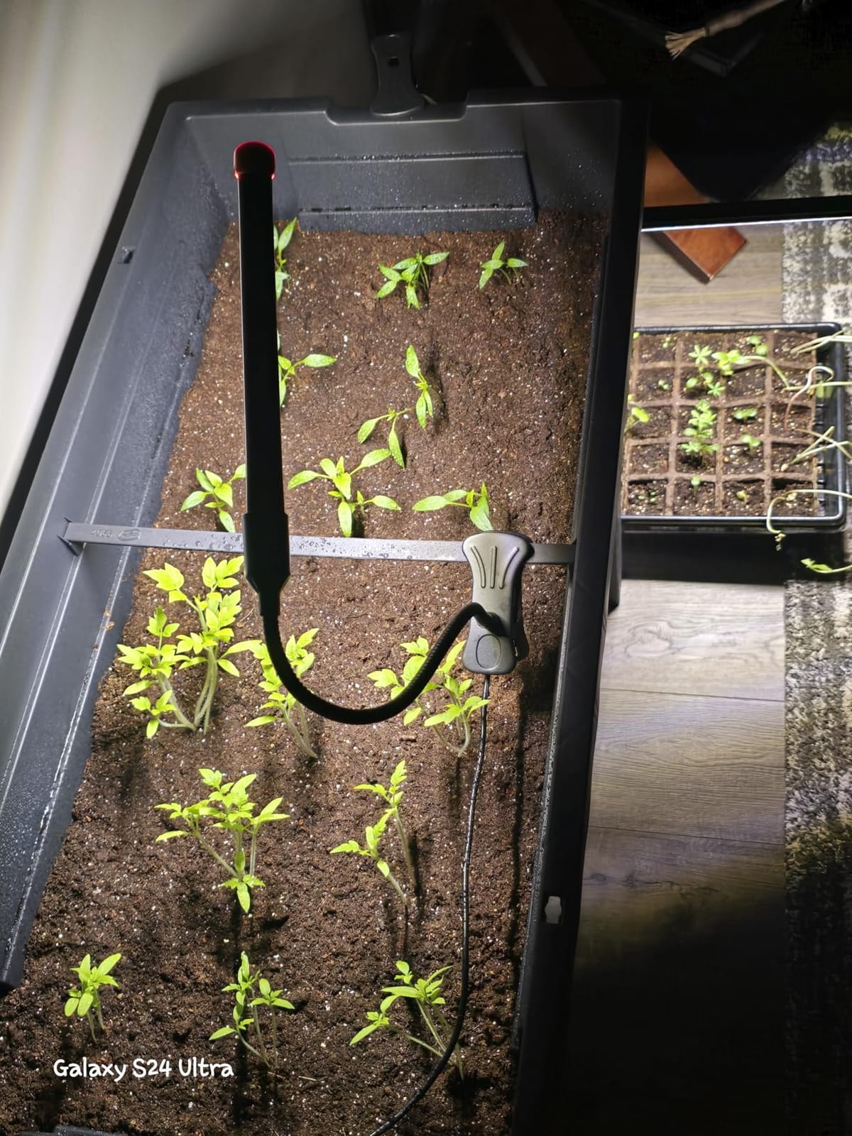 Game Changer! FECiDA 2026 3Pack Clip on Grow Lights for Single Pot Plant customer photo 1