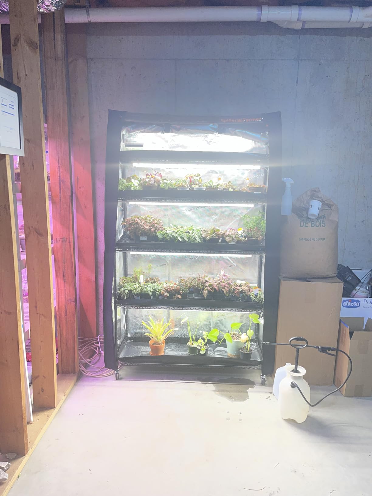 Spider Farmer 4 Tier Mini Greenhouse Plant Shelf with Grow Lights Indoor customer photo 2