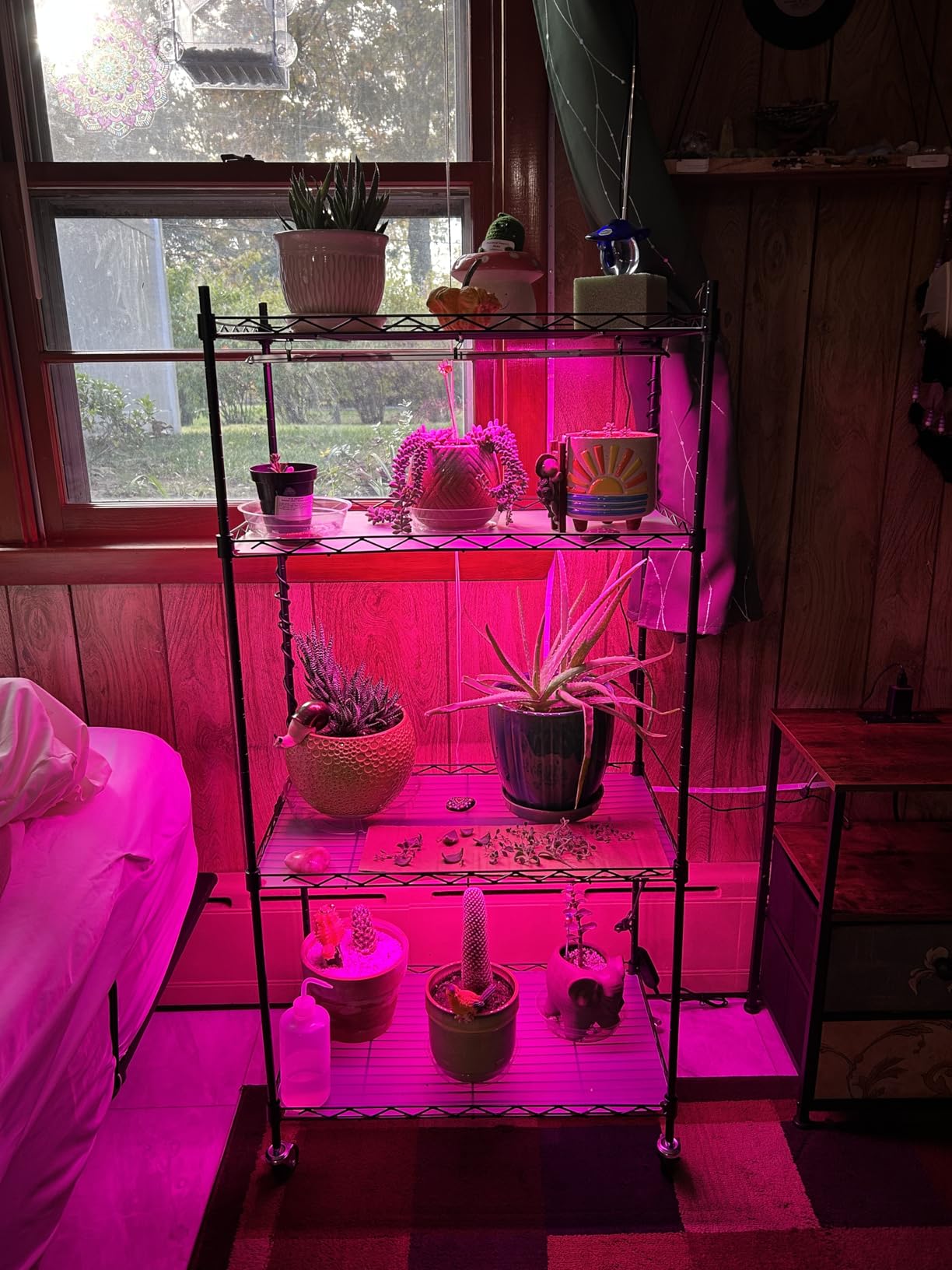 VEVOR Plant Stand with Grow Light, 4-Tier Plant Shelfwith 45W Full Spectrum LED, 3 Mode Plant Light with Timer and Wheel for Seed Starting, Metal Plant Rack for Indoor Plants customer photo 2