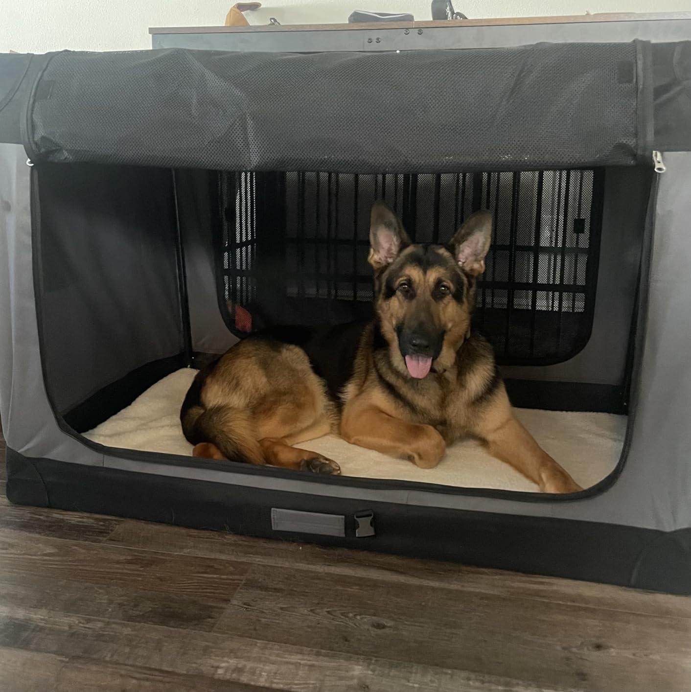 Feandrea Collapsible Dog Crate, Portable Oxford Fabric Pet Carrier, 36-Inch customer photo 2