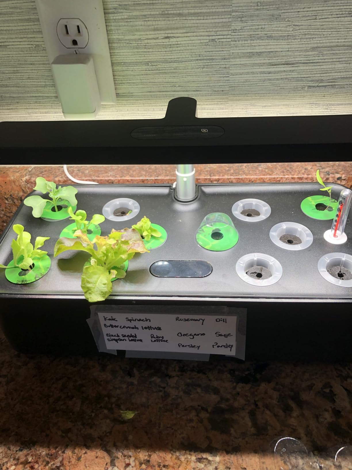 SUNCOZE Hydroponics Growing System, Compact 12 Pods Indoor Garden, Black customer photo 2