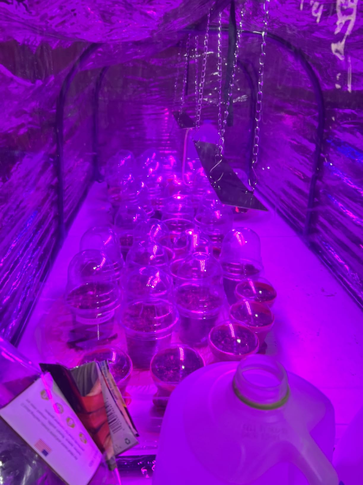 Meonum Mini Greenhouse with Grow Light, 23.6