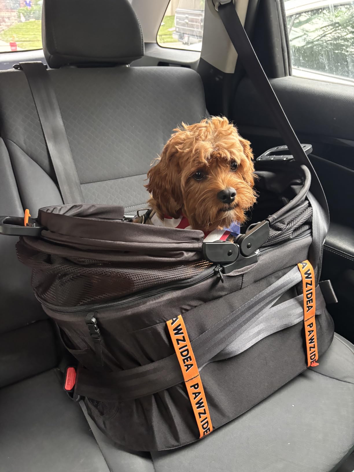 PAWZIDEA Portable Dog Crate for Car Travel, Medium & Large Dogs Up to 80lbs customer photo 2