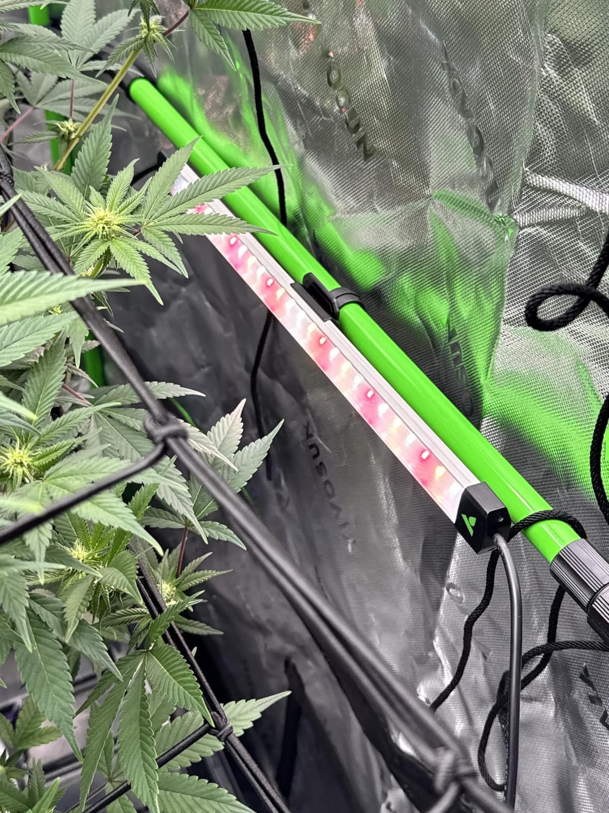 VIVOSUN LumaRay LED Grow Light Bars 16”(8-Bar) Full Spectrum Side Lighting customer photo 1