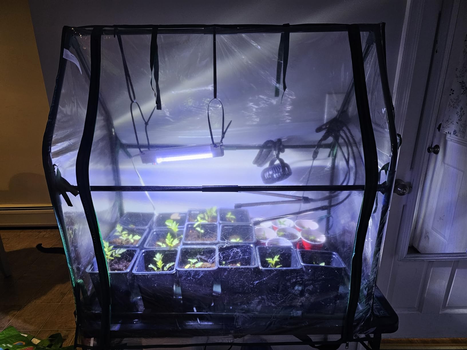 Mini Greenhouse for Indoor Outdoor: Ohuhu Tabletop Portable Green House with Waterproof Pad for Small Plants Nursery Germination, 36