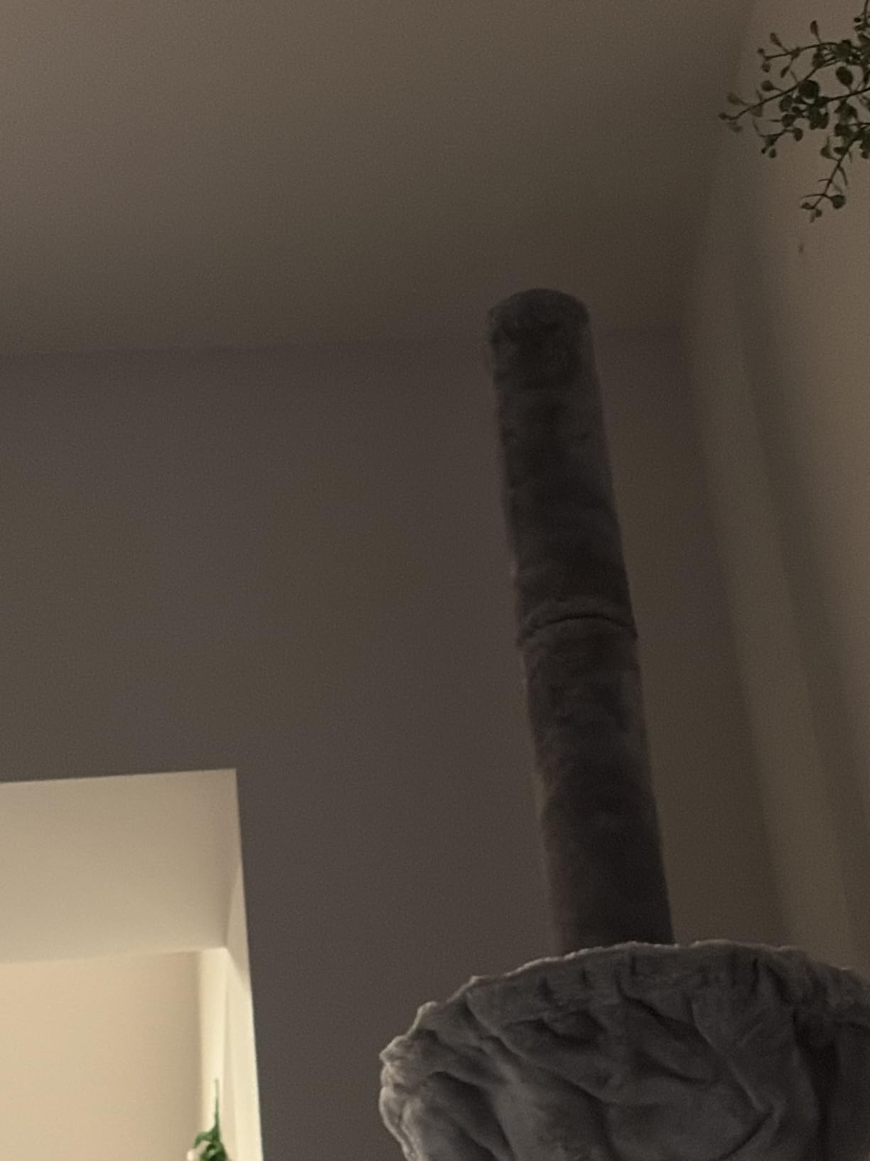 ROYPET Adjustable Tall Cat Climbing Tree, Floor-to-Ceiling Cat Climber Toy with Hanging Hammock and Scratching Posts, Grey customer photo 1