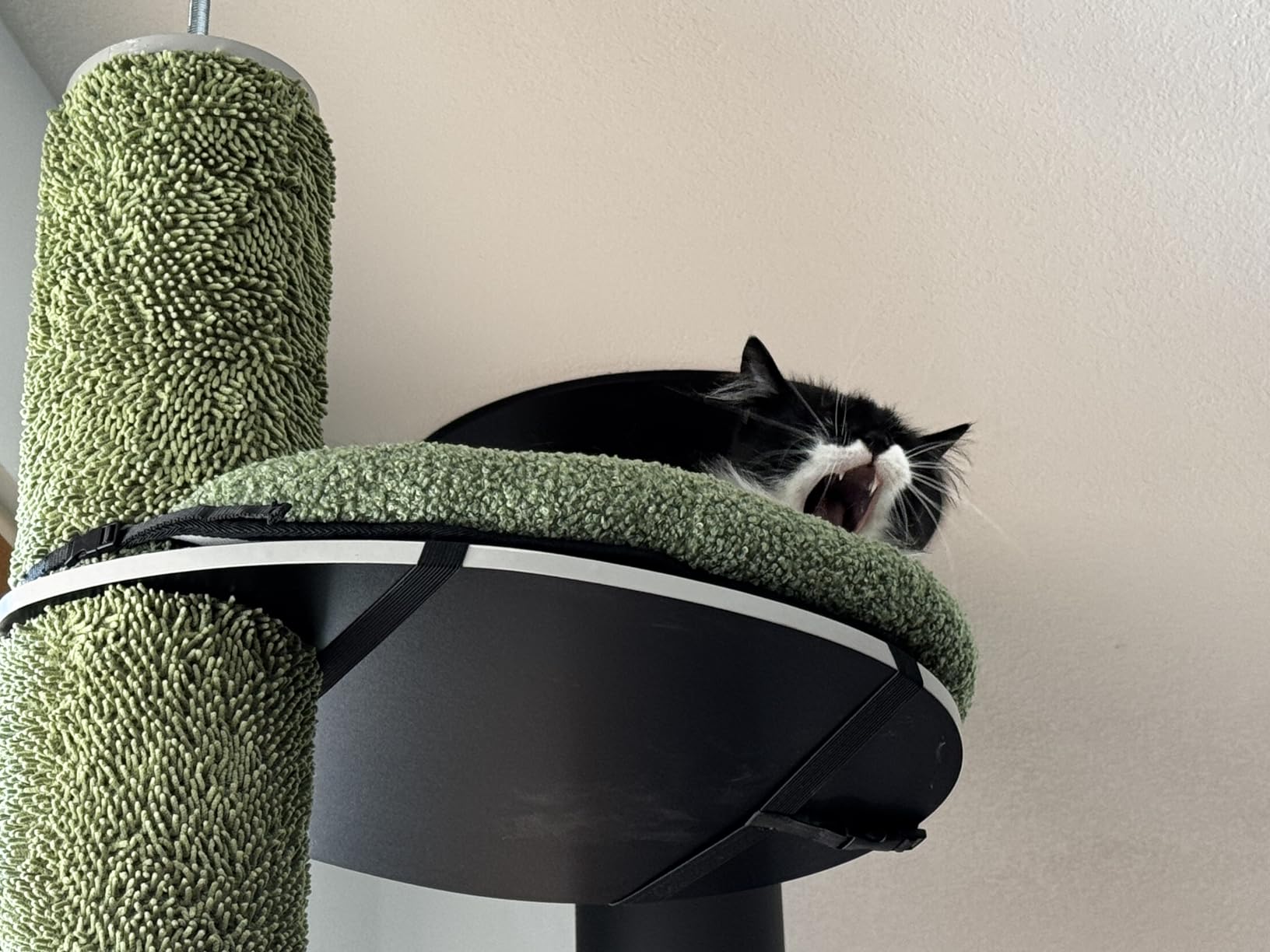 ROYPET Adjustable Tall Cat Climbing Tree, Floor-to-Ceiling Cat Climber Toy with Hanging Hammock and Scratching Posts, Grey customer photo 2