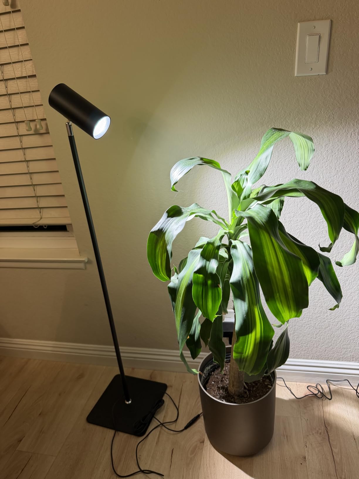 30W Full Spectrum Grow Light, 5000LM High-CRI COB LED Floor Lamp with 6/8/12H Timer, Adjustable Height (28