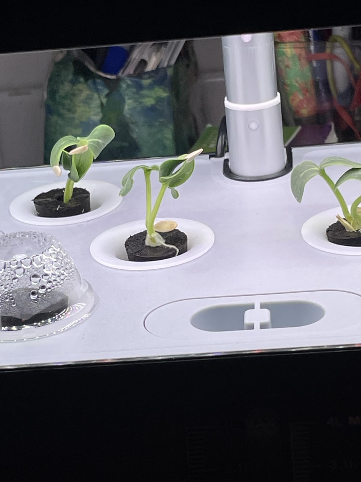 SUNCOZE Hydroponics Growing System, 12 Pods, 12.4 in Adjustable Height customer photo 1