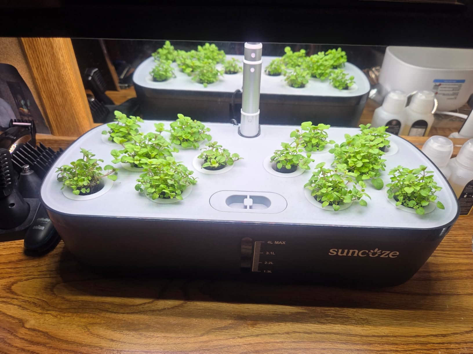 SUNCOZE Hydroponics Growing System, 12 Pods, 12.4 in Adjustable Height customer photo 2