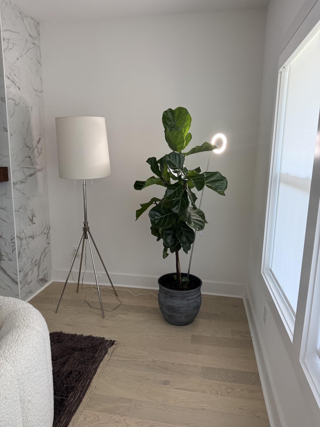 Kullsinss 6.3in Grow Lights for Indoor Plants, Full Spectrum Plant Light customer photo 2