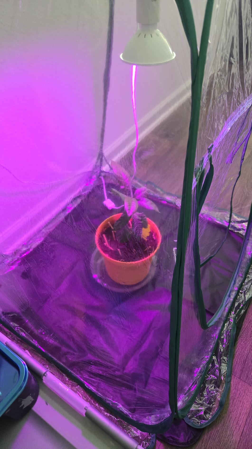 Meonum Mini Greenhouse Indoor with 10W Grow Light and PEVA Mat, 1 Pack customer photo 1