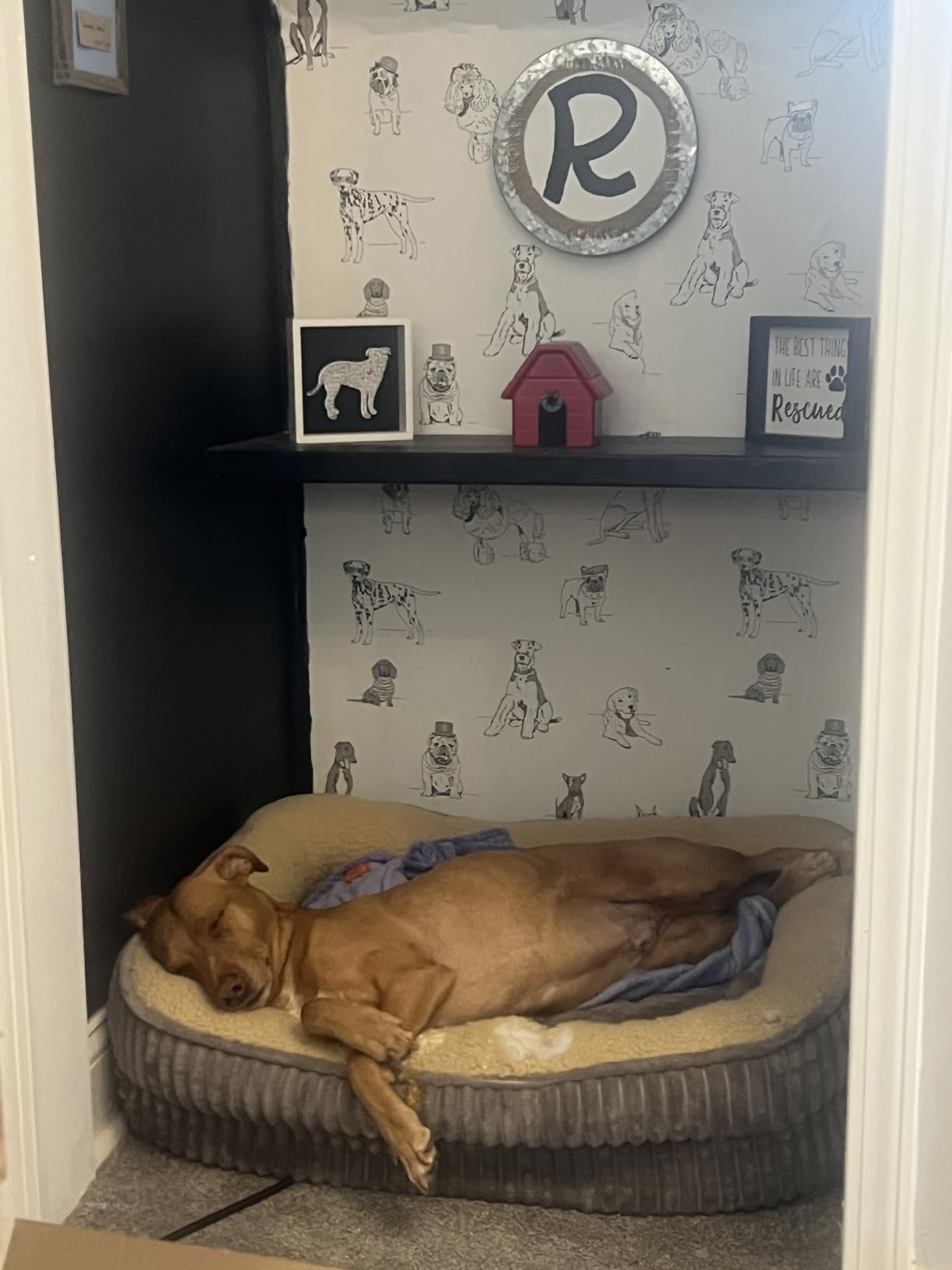 Orthopedic Dog Bed for Small Dogs Breeds, High Density Egg Crate Foam Dog Sofa Beds,Oval Kennel Bed, Pet Couch Bed with Four Sided Bolster, Removable Washable Cover& Non-Slip Bottom customer photo 1