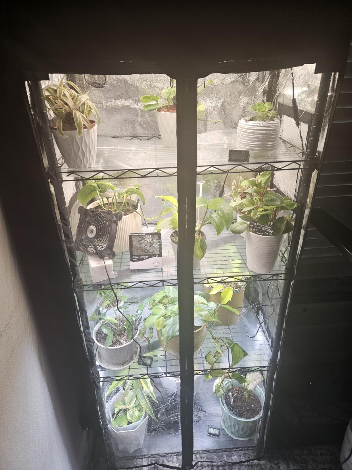 Small Greenhouse for Indoors, 5 Tier 23.1