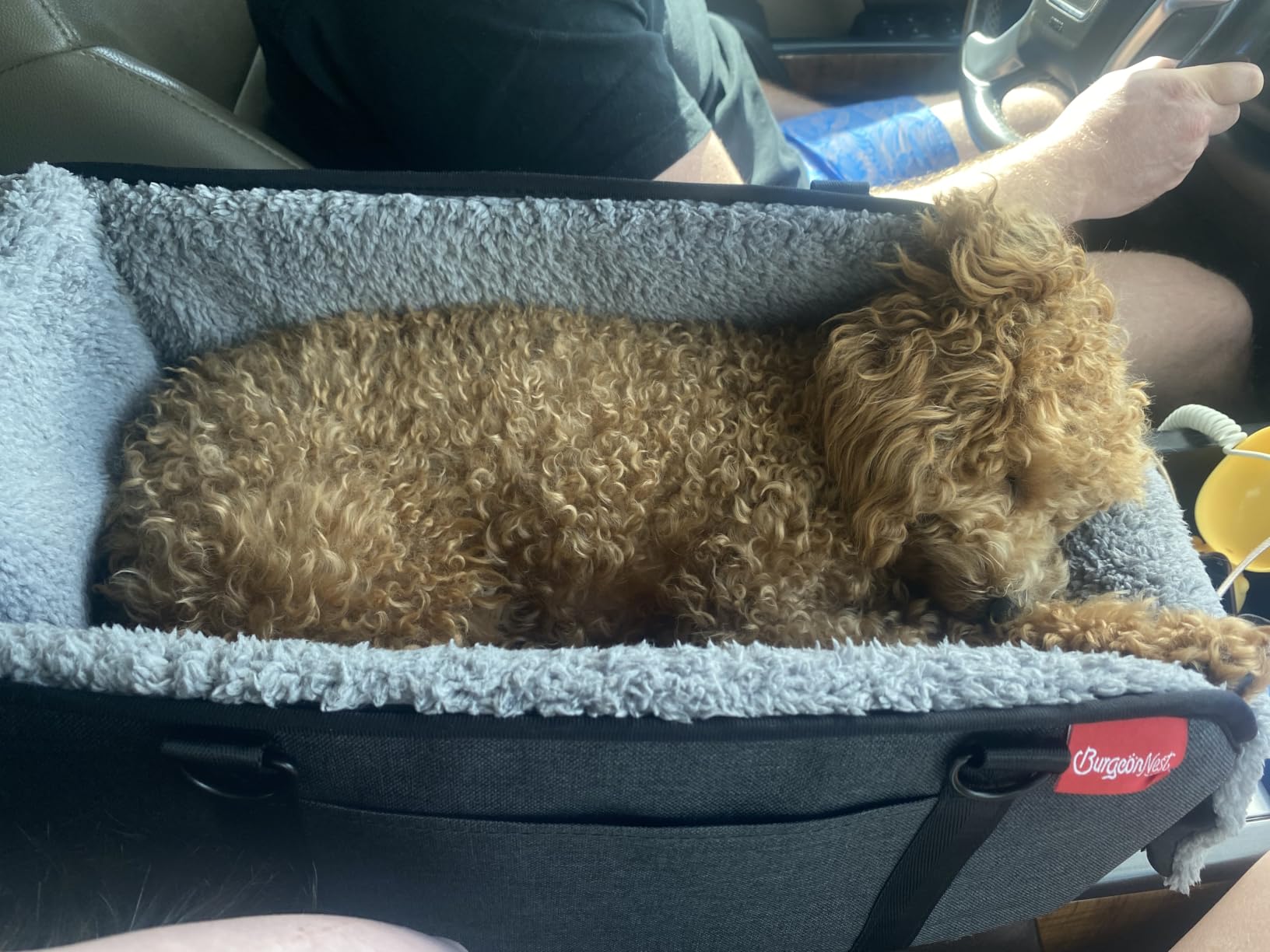 BurgeonNest Center Console Dog Car Seat for Small Pets to 11lbs, Grey customer photo 1