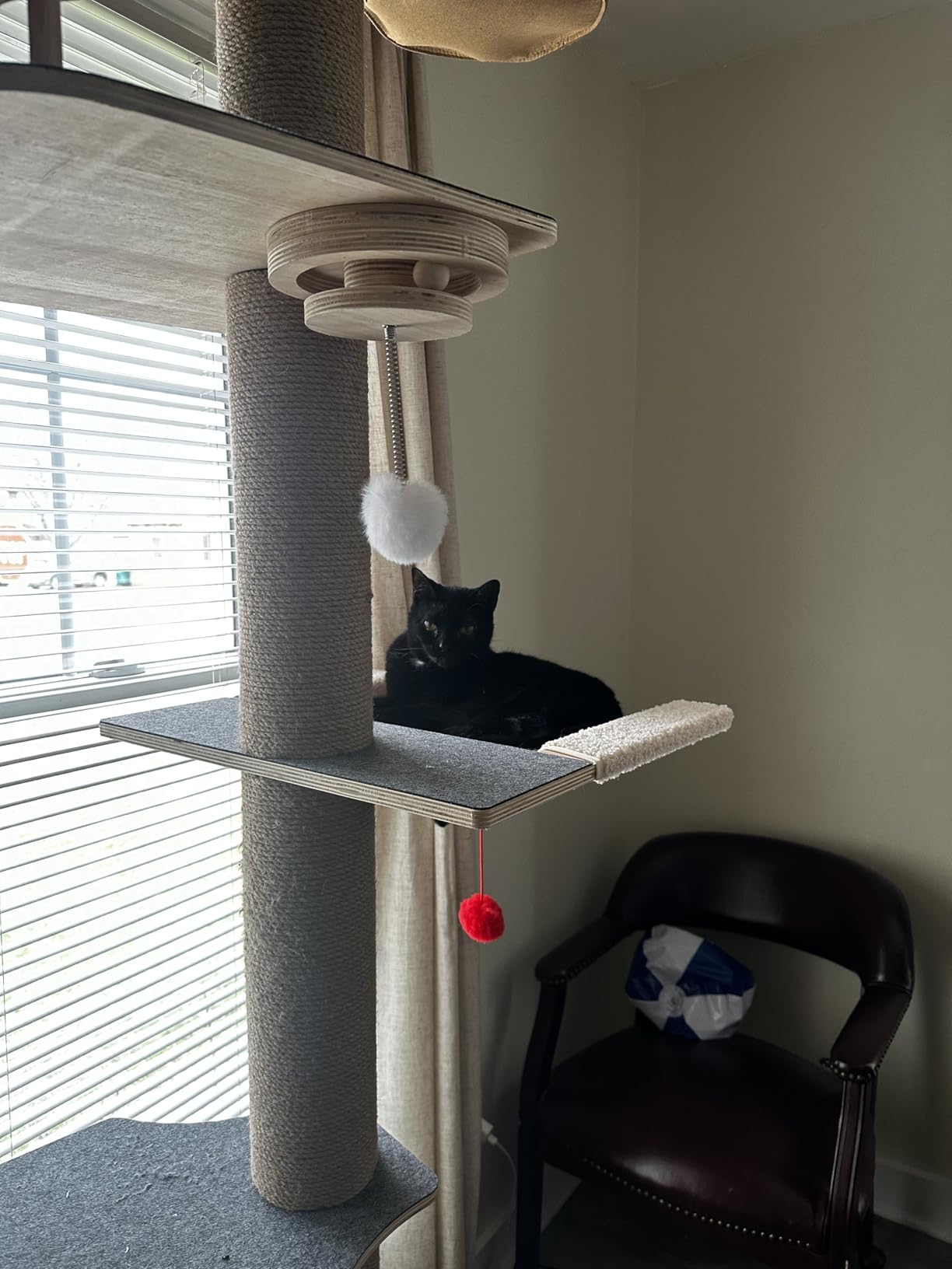 Cat Tree Floor to Ceiling, Cat Tower with Hammock & Perch, Scratching Post customer photo 1