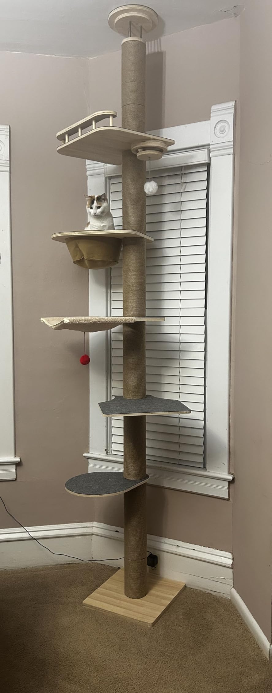 Cat Tree Floor to Ceiling, Cat Tower with Hammock & Perch, Scratching Post customer photo 2