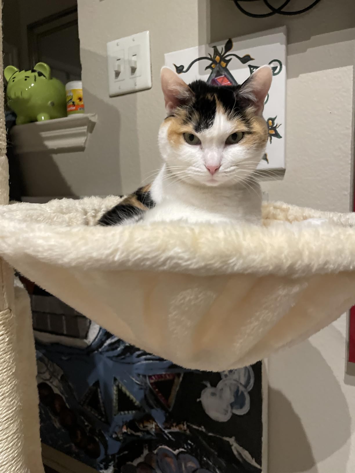 PAWZ Road 26”Cat Tower Cactus Cat Tree for Small Space customer photo 2