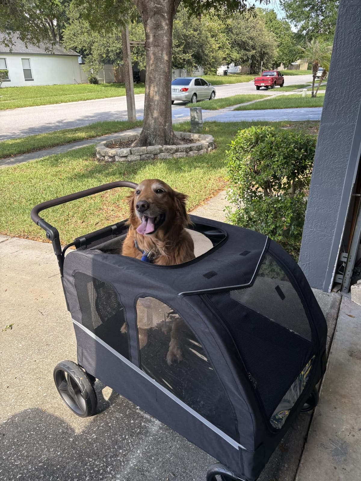 Dog Stroller for Large Dogs, Extra Large Pet Stroller for Medium Dogs, Dog Wagon Carriage, Foldable Design, Adjustable Handle, with Pocket, Up to 130 lbs, Black customer photo 1