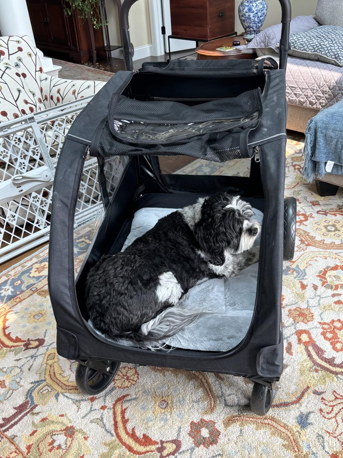 Dog Stroller for Large Dogs, Extra Large Pet Stroller for Medium Dogs, Dog Wagon Carriage, Foldable Design, Adjustable Handle, with Pocket, Up to 130 lbs, Black customer photo 2